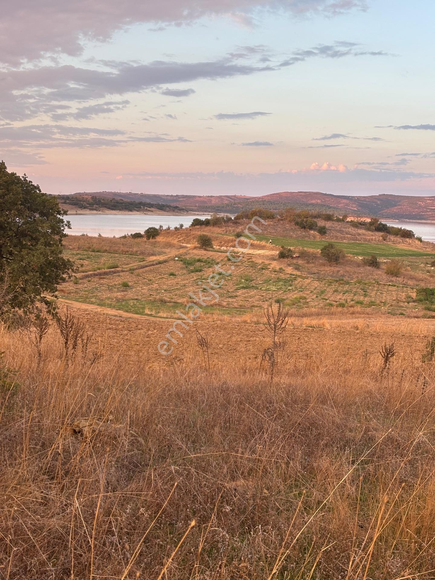 Balcity - Altıeylül Selimiye'de 4.963 M2 Meraya Ve Yola Cephe — fotoğraf 16