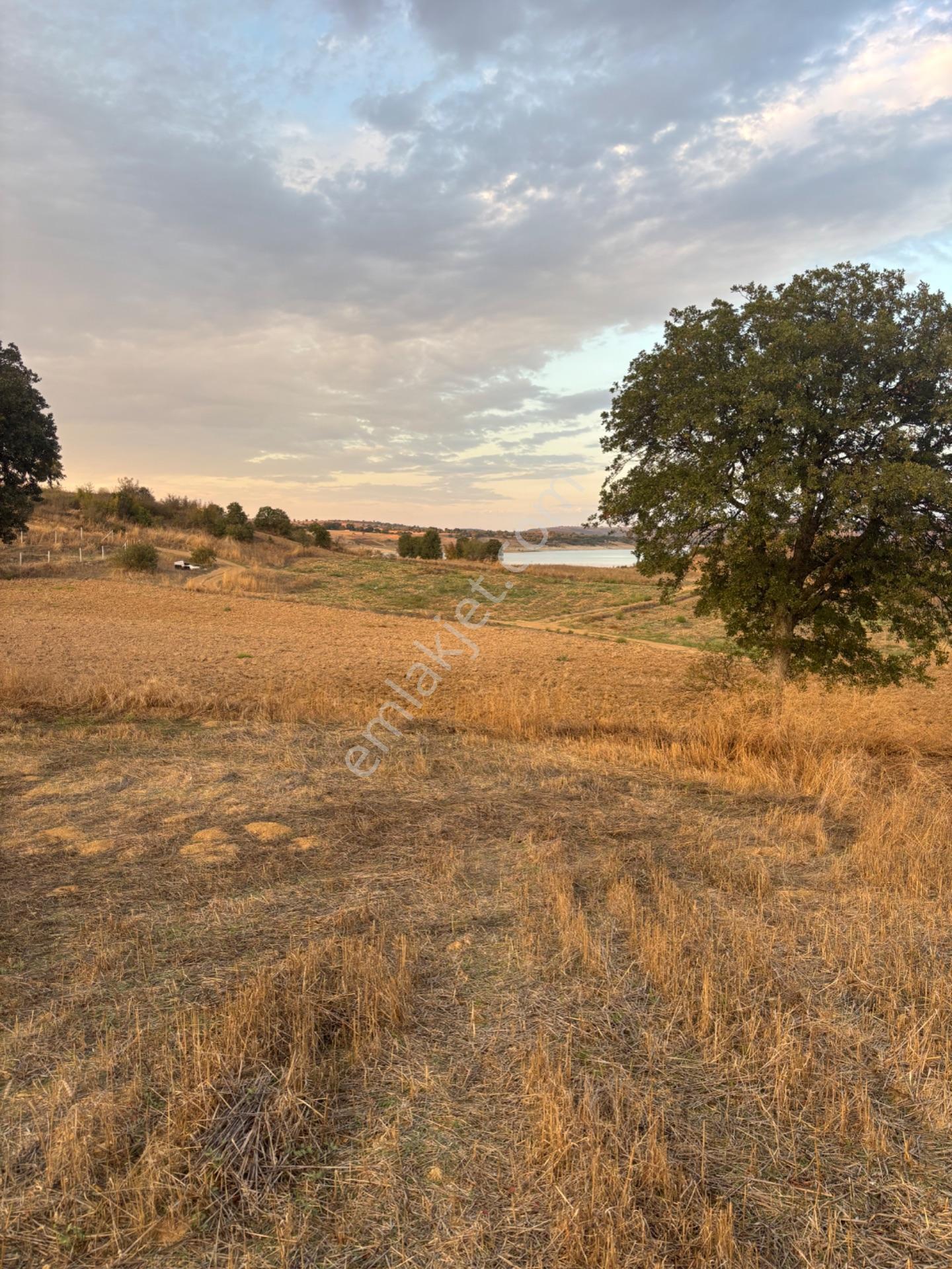 Balcity - Altıeylül Selimiye'de 4.963 M2 Meraya Ve Yola Cephe — fotoğraf 17