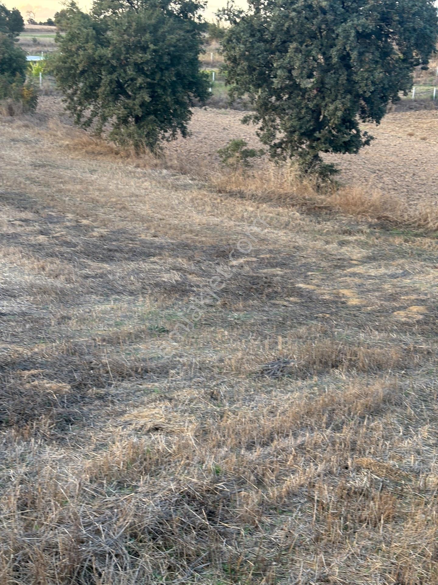 Balcity - Altıeylül Selimiye'de 4.963 M2 Meraya Ve Yola Cephe — fotoğraf 19