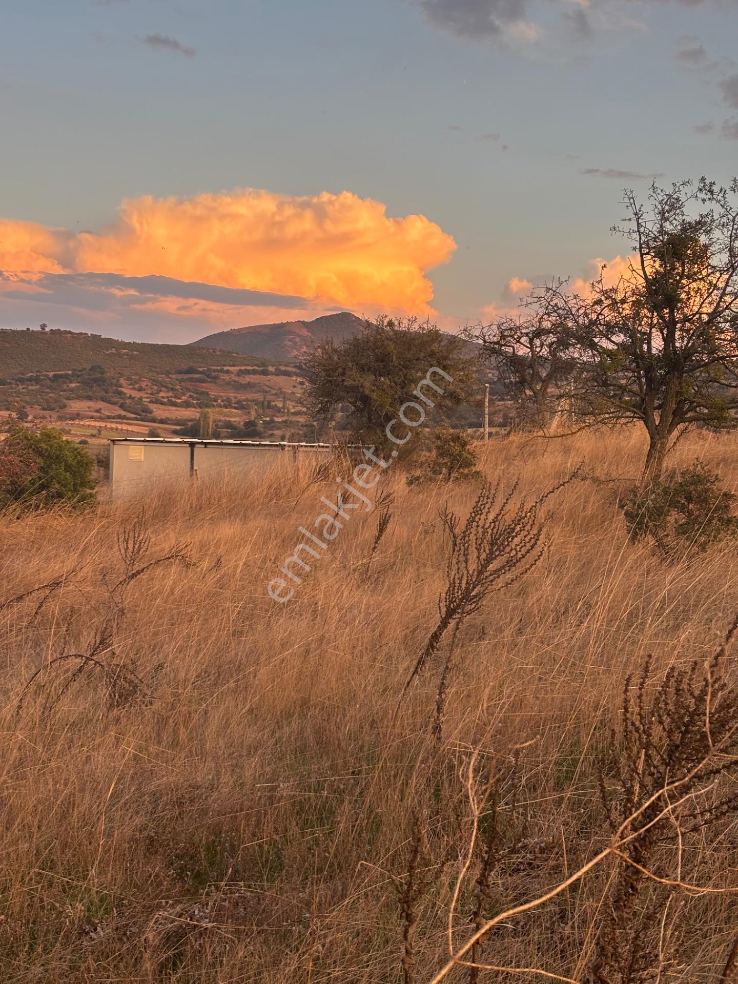 Balcity - Altıeylül Selimiye'de 4.963 M2 Meraya Ve Yola Cephe — fotoğraf 20
