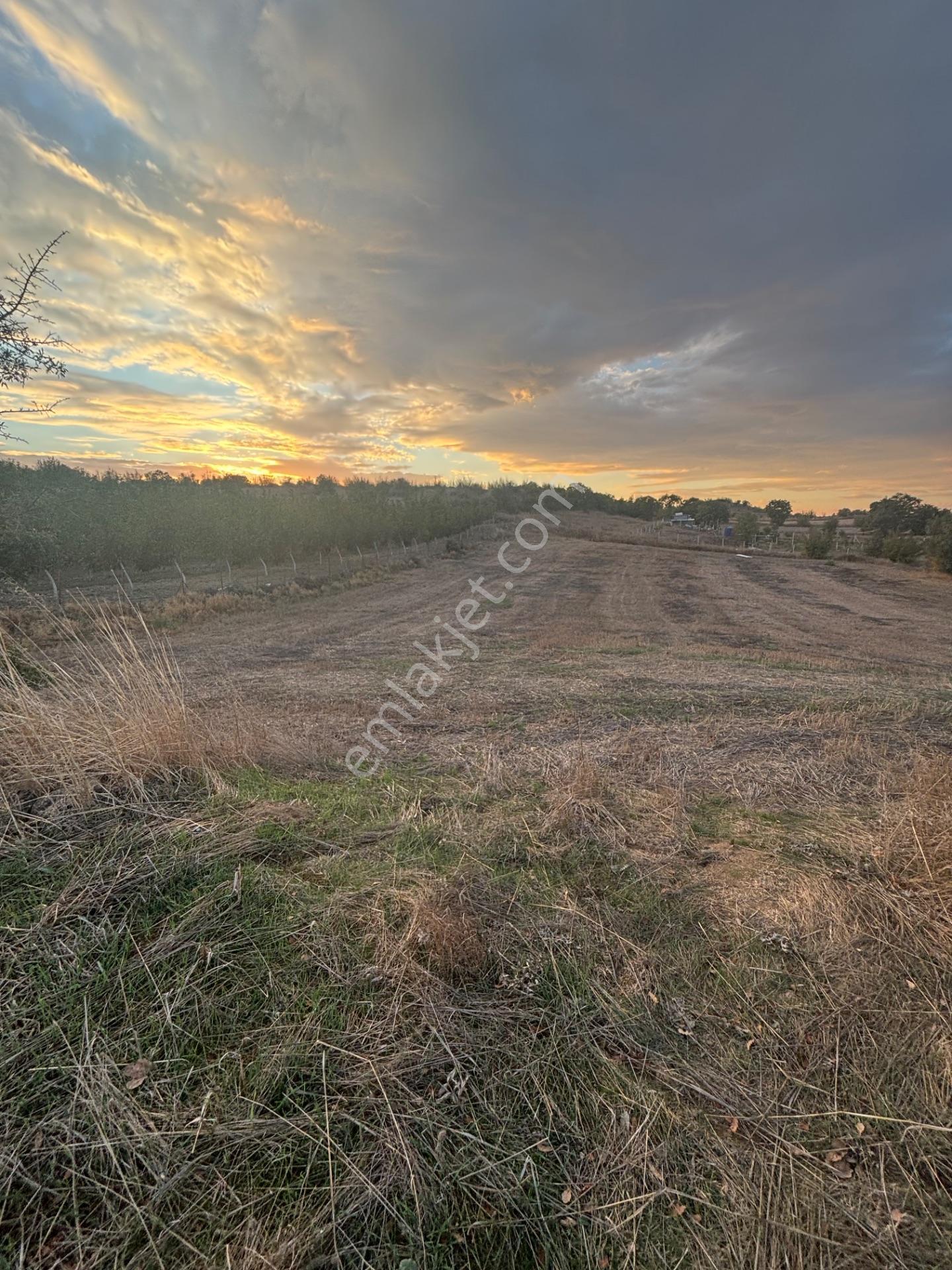 Balcity - Altıeylül Selimiye'de 4.963 M2 Meraya Ve Yola Cephe — fotoğraf 21