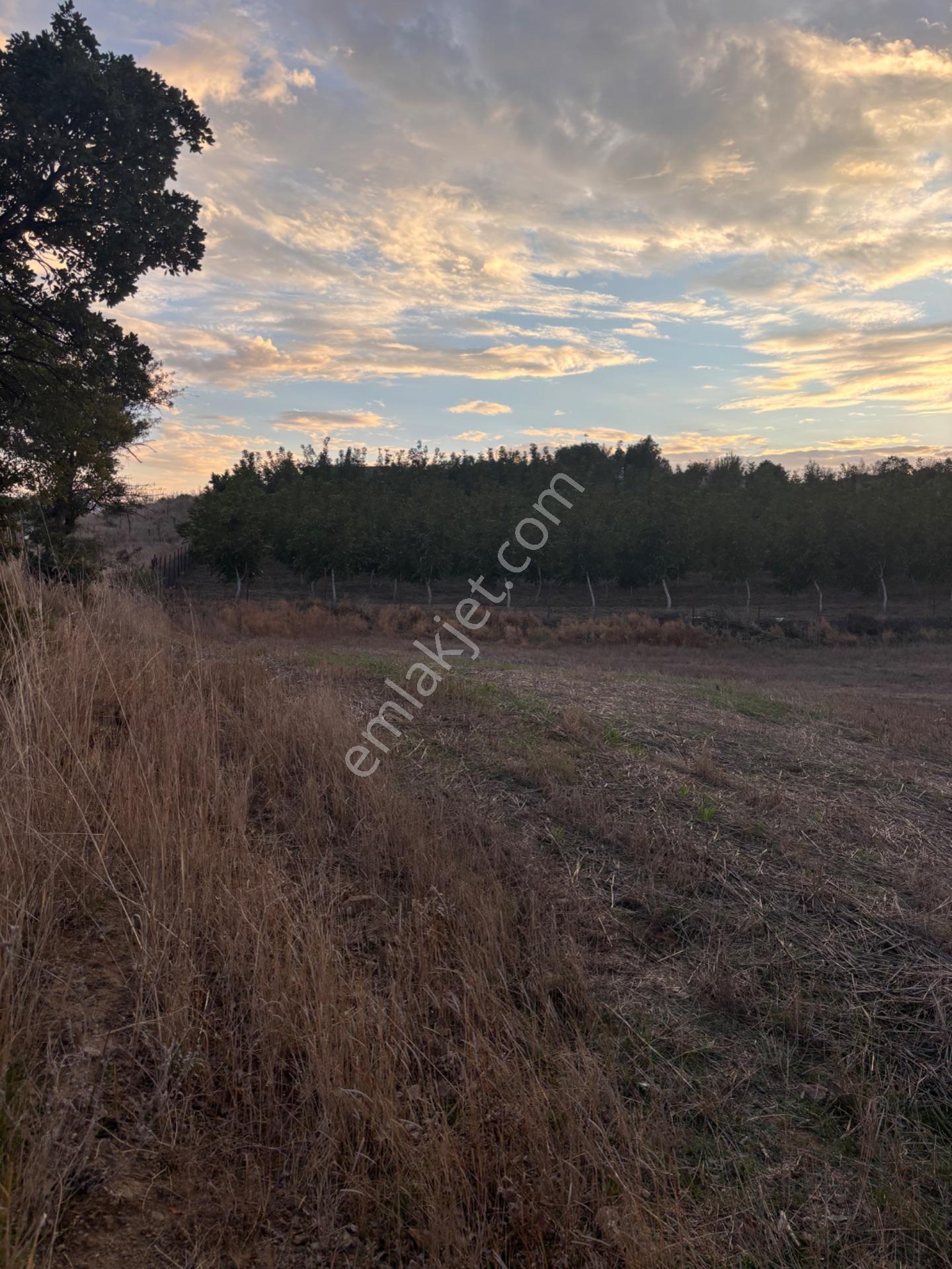 Balcity - Altıeylül Selimiye'de 4.963 M2 Meraya Ve Yola Cephe — fotoğraf 22