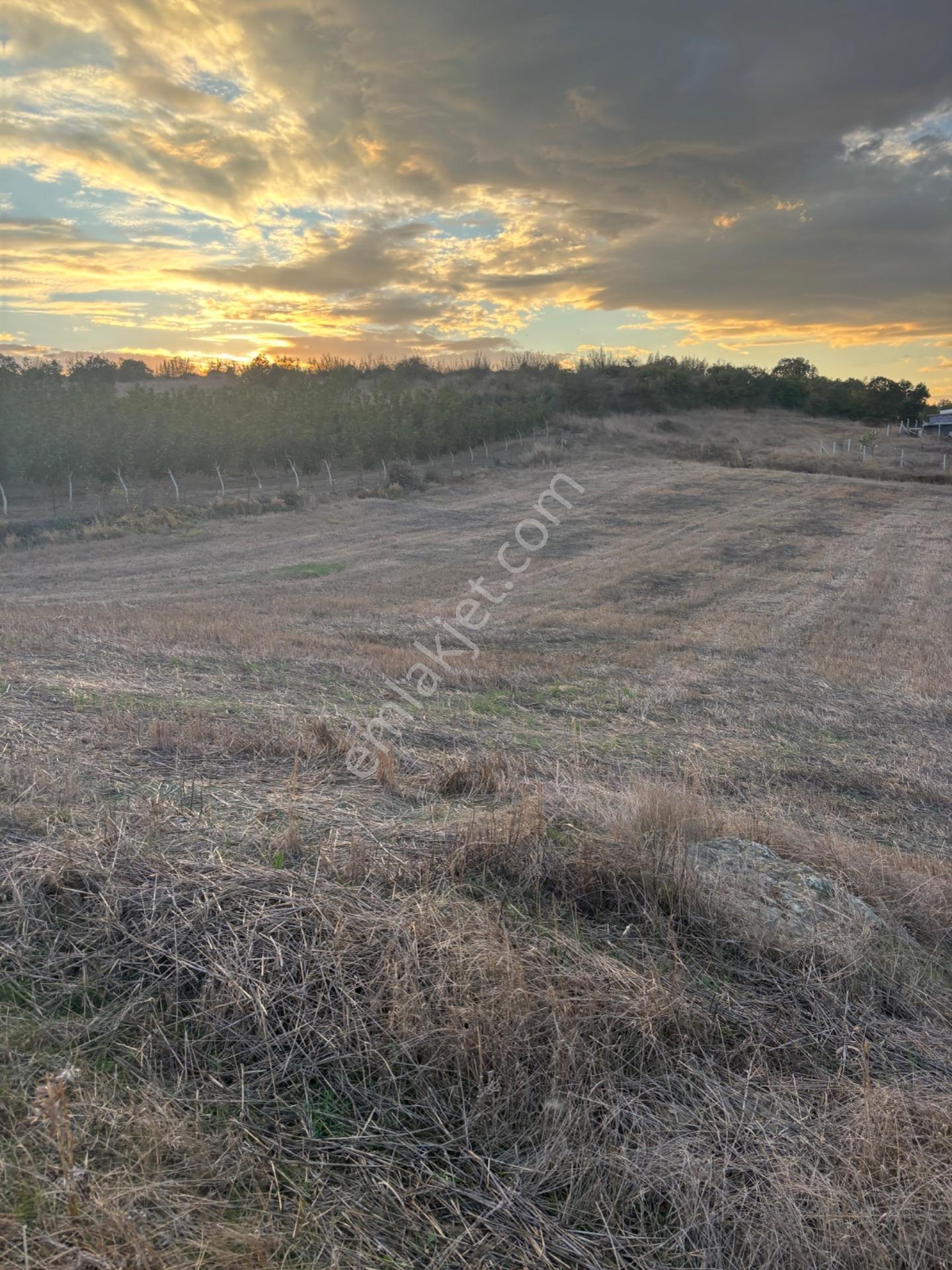 Balcity - Altıeylül Selimiye'de 4.963 M2 Meraya Ve Yola Cephe — fotoğraf 23