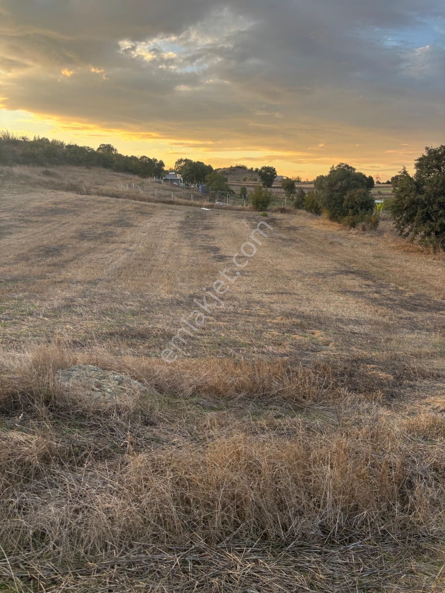 Balcity - Altıeylül Selimiye'de 4.963 M2 Meraya Ve Yola Cephe — fotoğraf 24
