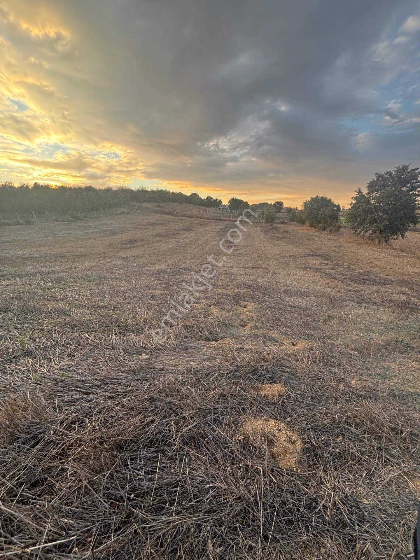 Balcity - Altıeylül Selimiye'de 4.963 M2 Meraya Ve Yola Cephe — fotoğraf 26