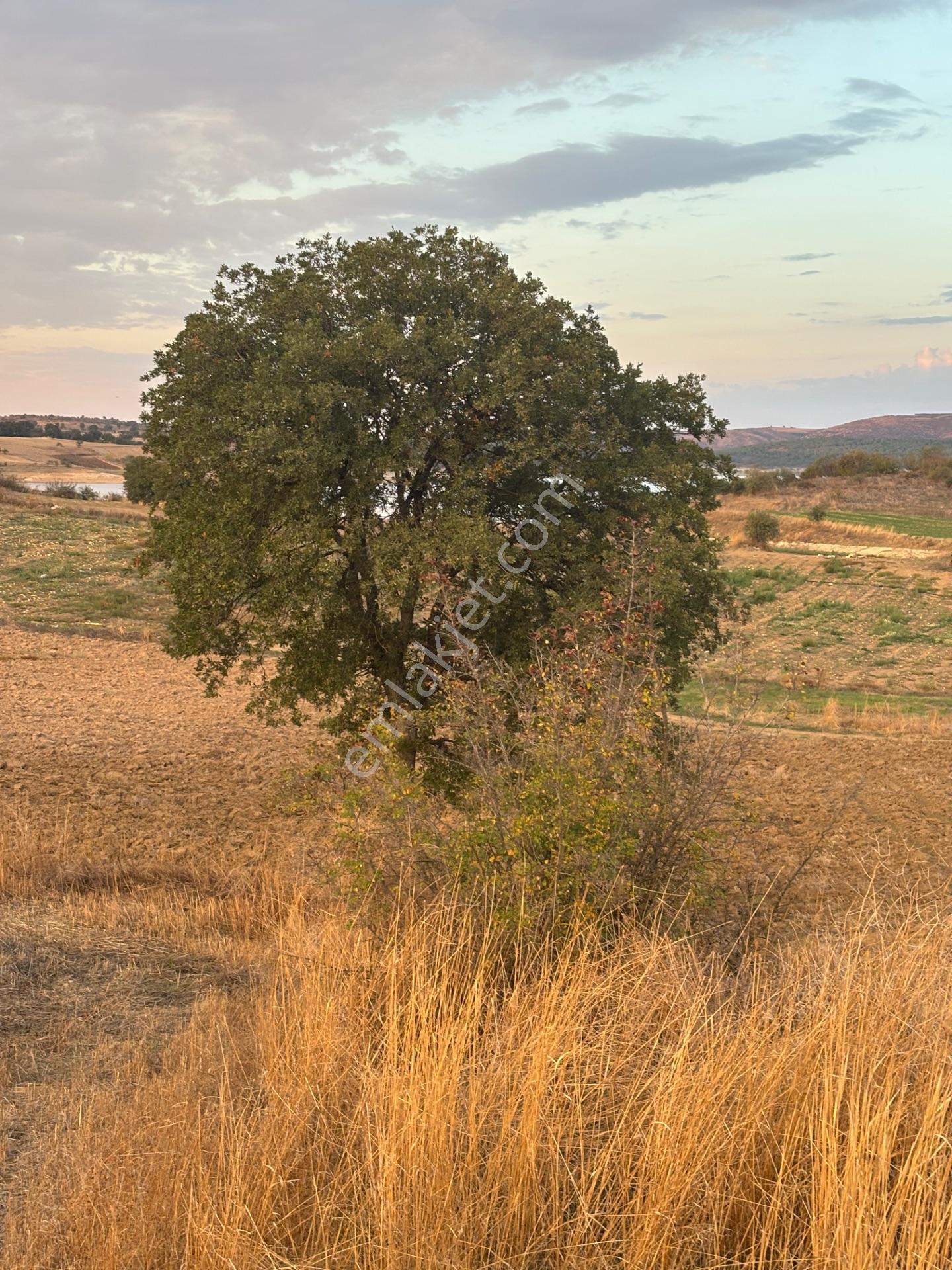 Balcity - Altıeylül Selimiye'de 4.963 M2 Meraya Ve Yola Cephe — fotoğraf 29