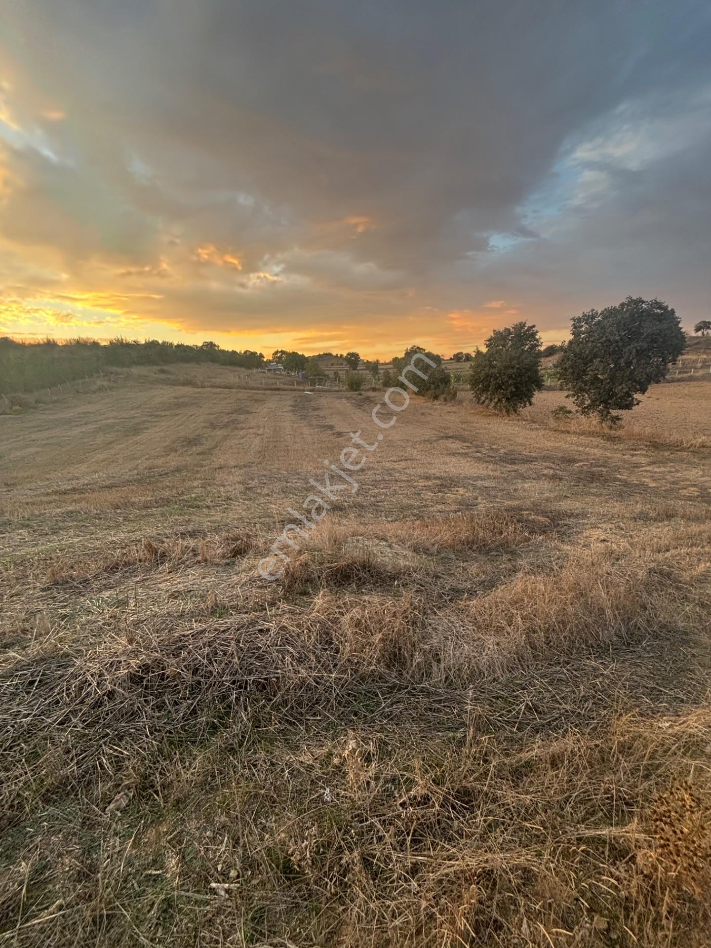 Balcity - Altıeylül Selimiye'de 4.963 M2 Meraya Ve Yola Cephe — fotoğraf 30
