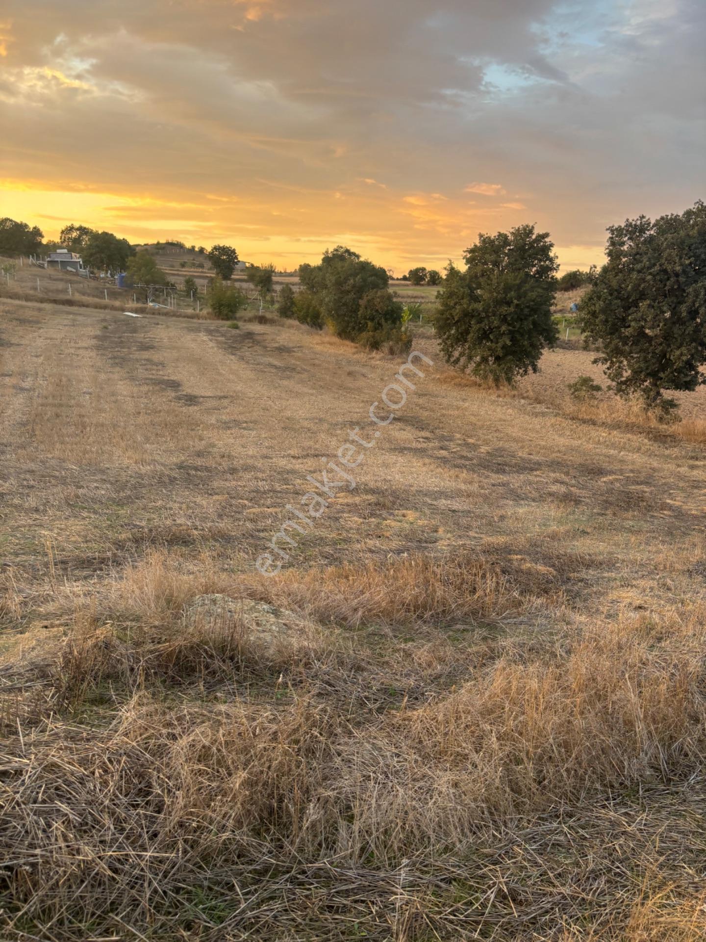 Balcity - Altıeylül Selimiye'de 4.963 M2 Meraya Ve Yola Cephe — fotoğraf 31