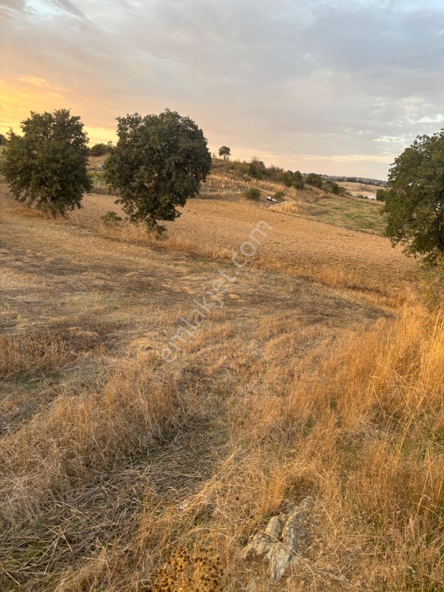 Balcity - Altıeylül Selimiye'de 4.963 M2 Meraya Ve Yola Cephe — fotoğraf 32