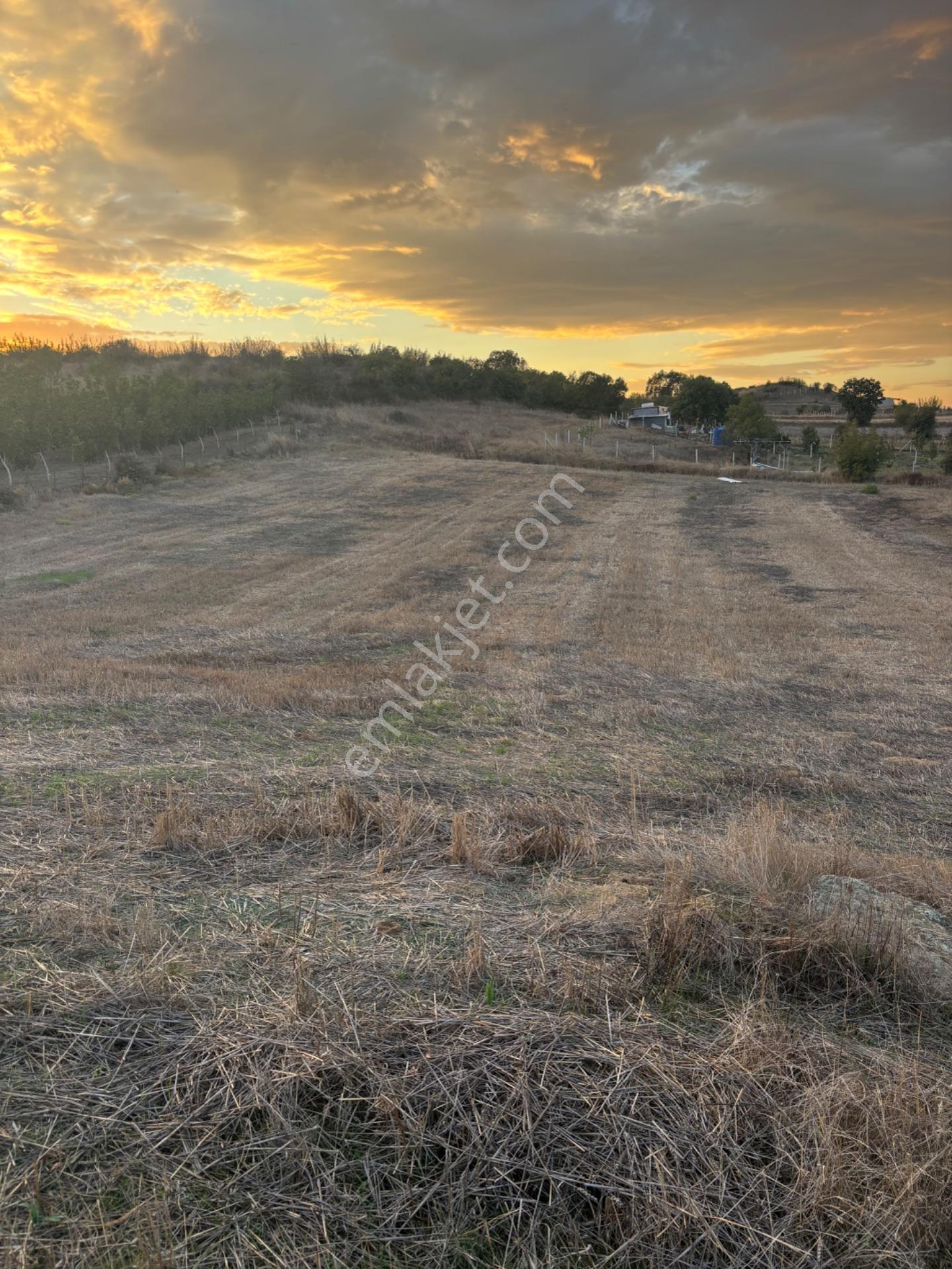Balcity - Altıeylül Selimiye'de 4.963 M2 Meraya Ve Yola Cephe — fotoğraf 35