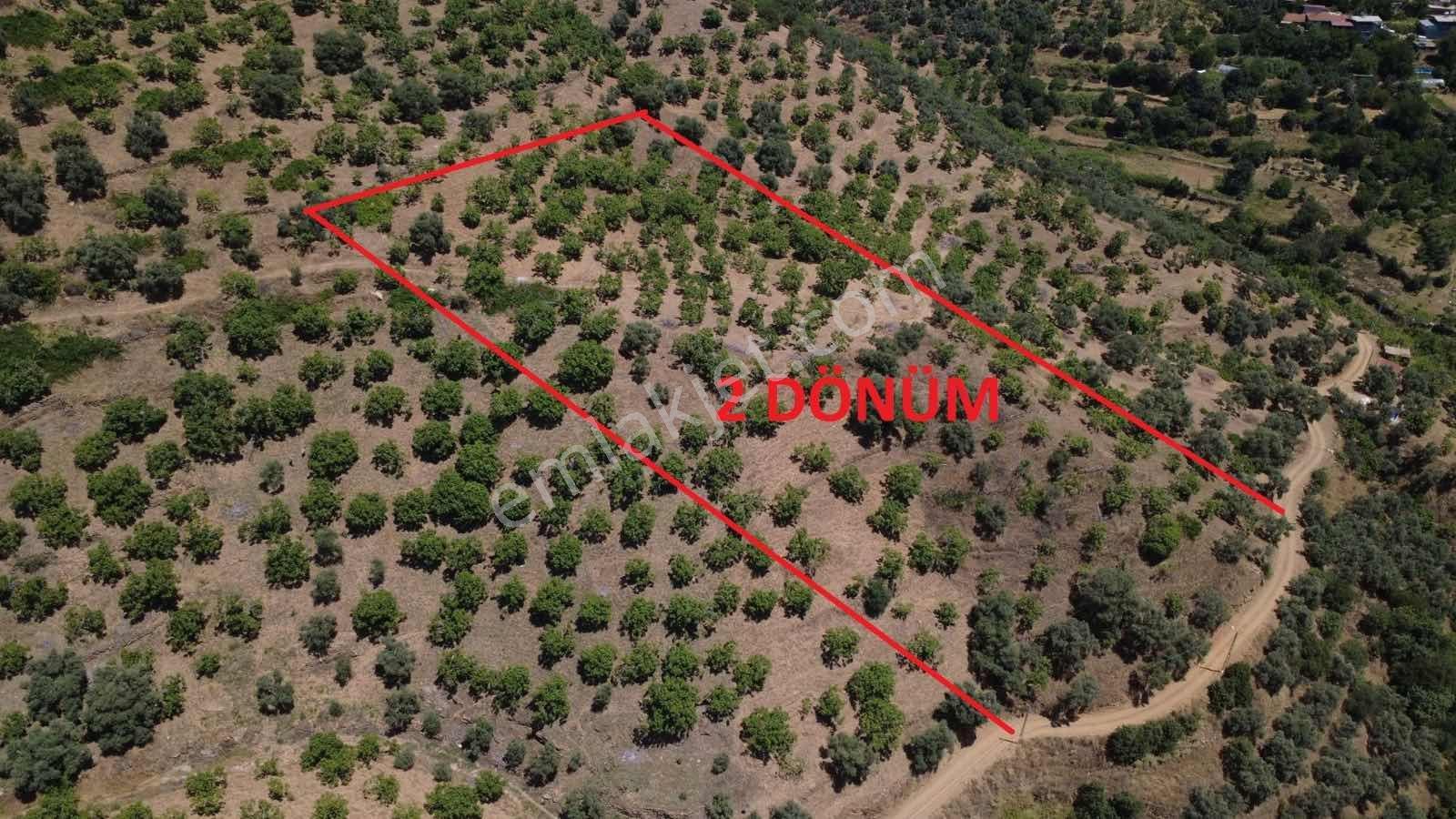 Bağcıllı'Da Merkezi Konumda Yatırımlık İncirlik, Manzaralı