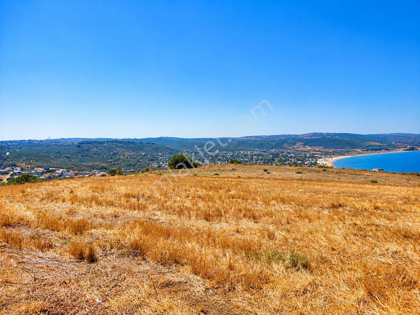 Mudanya Esence Eşkel,de 315 M² Satılık Tarla-bahçe | Yol, Elektrik, Su — fotoğraf 11