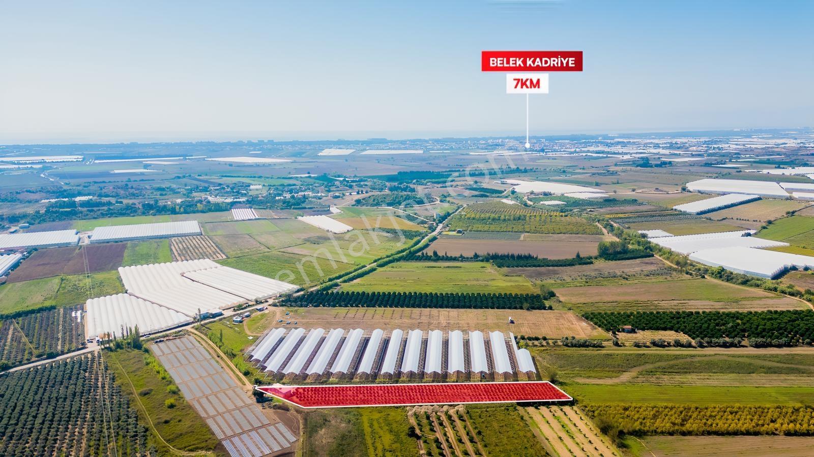 Serikte Tek Tapu Satılık Yetişkin Mandalina Bahçesi Ve Evi — fotoğraf 5