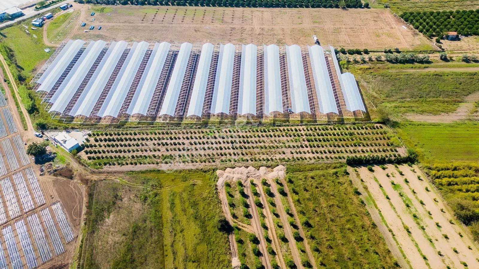 Serikte Tek Tapu Satılık Yetişkin Mandalina Bahçesi Ve Evi — fotoğraf 18