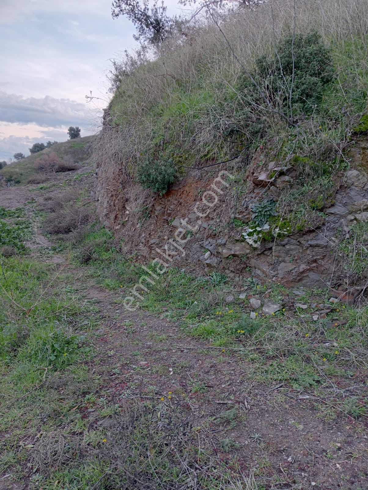 Yaylapınar 2.5 Dönüm İki Tapu Birlikte Satılık Bahçe — fotoğraf 8