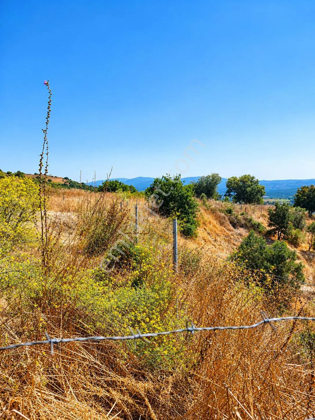 Bursa Mudanya Esence Eşkel'de 307 M² Sahile Yakın Satılık Tarla | Yol, Su, Elektrik — fotoğraf 24