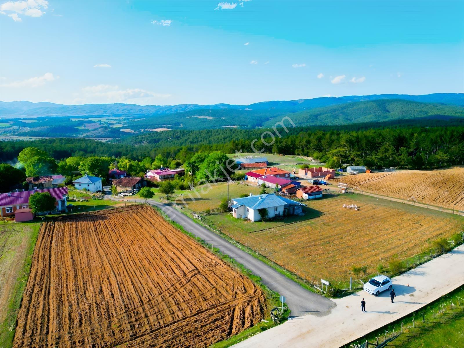 Çift Cepheli, İmar & Müstakil Evli, 2.129 M² Doğa İçinde Fırsat — fotoğraf 4