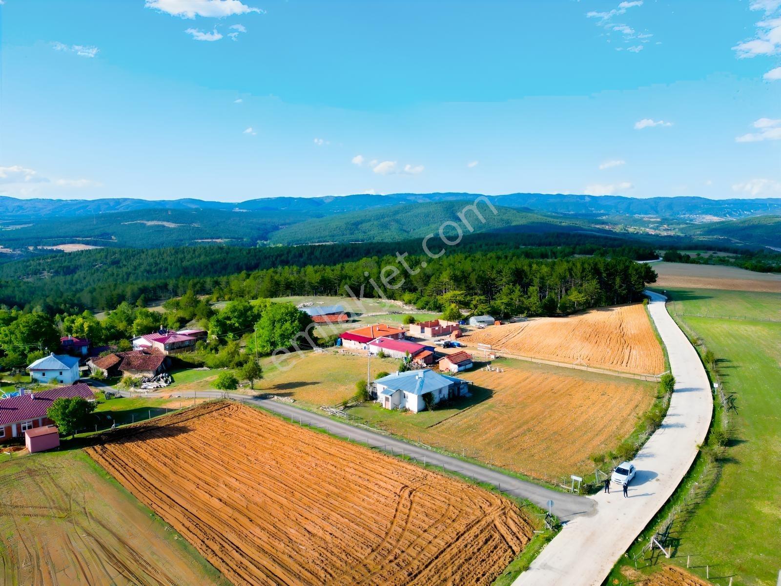 Çift Cepheli, İmar & Müstakil Evli, 2.129 M² Doğa İçinde Fırsat — fotoğraf 8