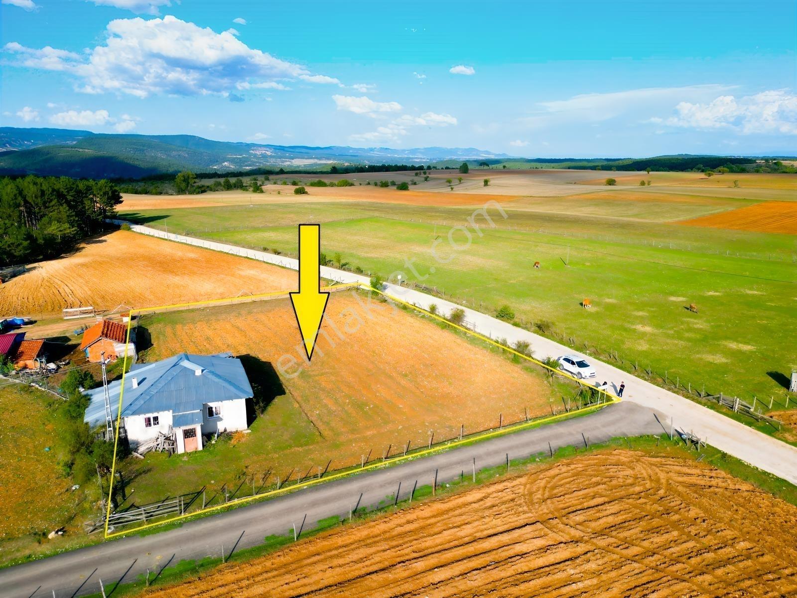 Çift Cepheli, İmar & Müstakil Evli, 2.129 M² Doğa İçinde Fırsat — fotoğraf 10