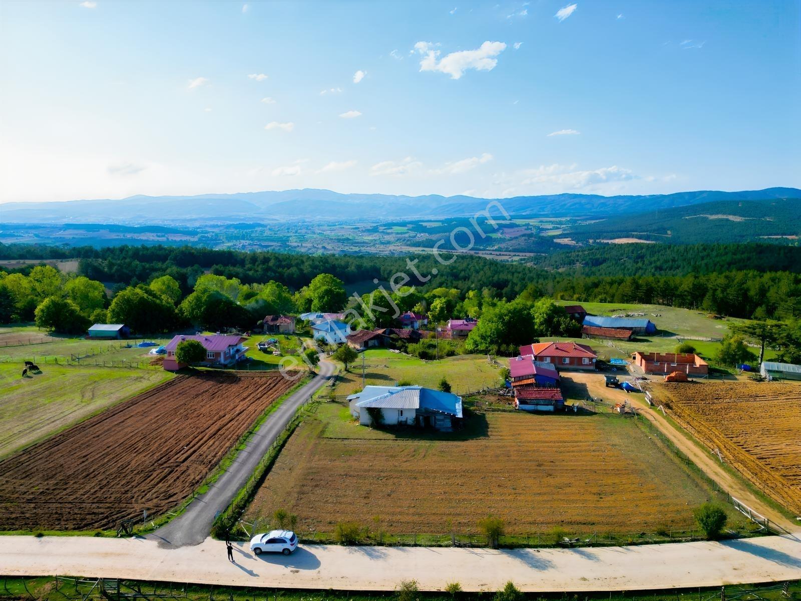 Çift Cepheli, İmar & Müstakil Evli, 2.129 M² Doğa İçinde Fırsat — fotoğraf 11