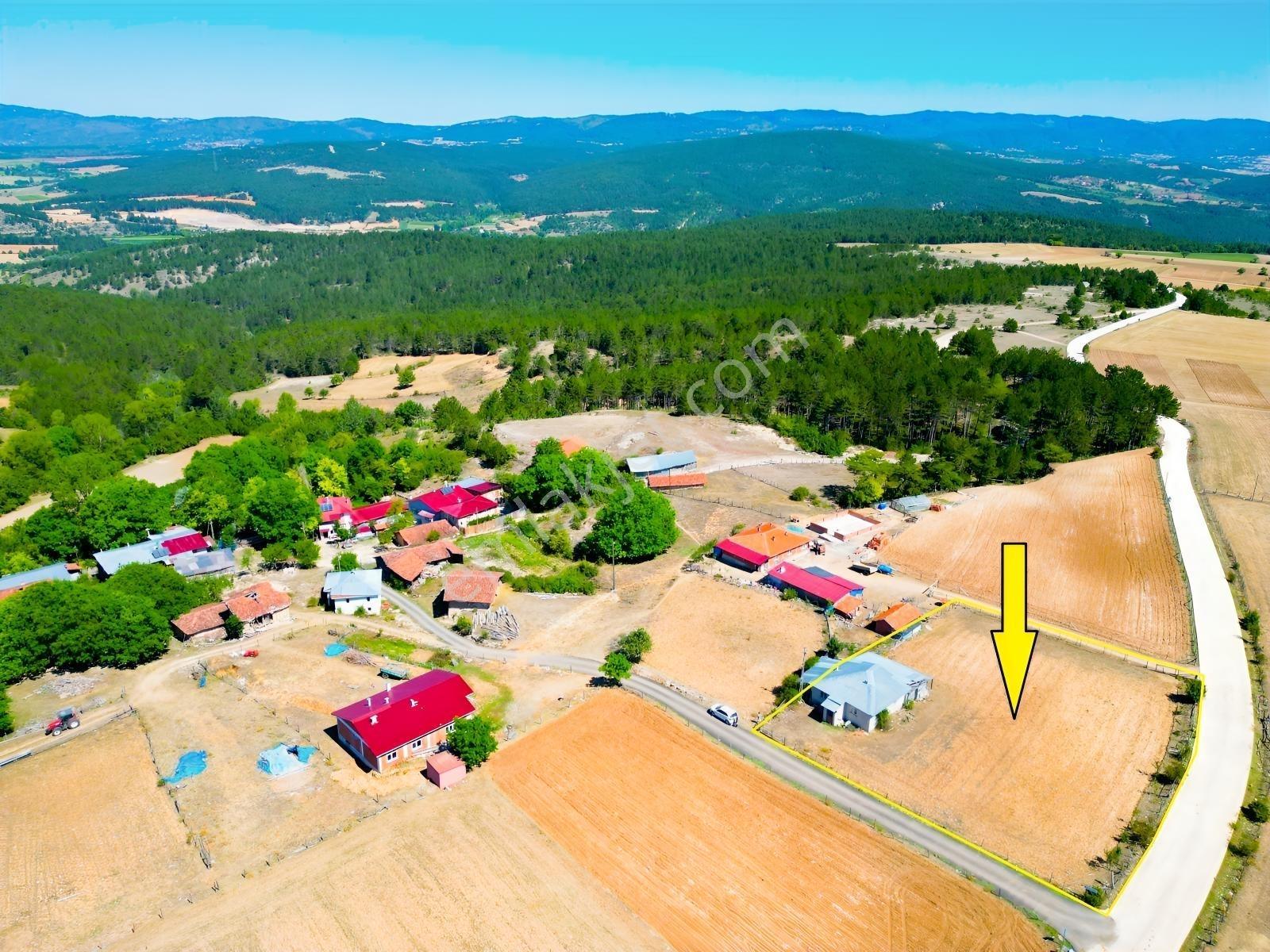 Çift Cepheli, İmar & Müstakil Evli, 2.129 M² Doğa İçinde Fırsat — fotoğraf 12