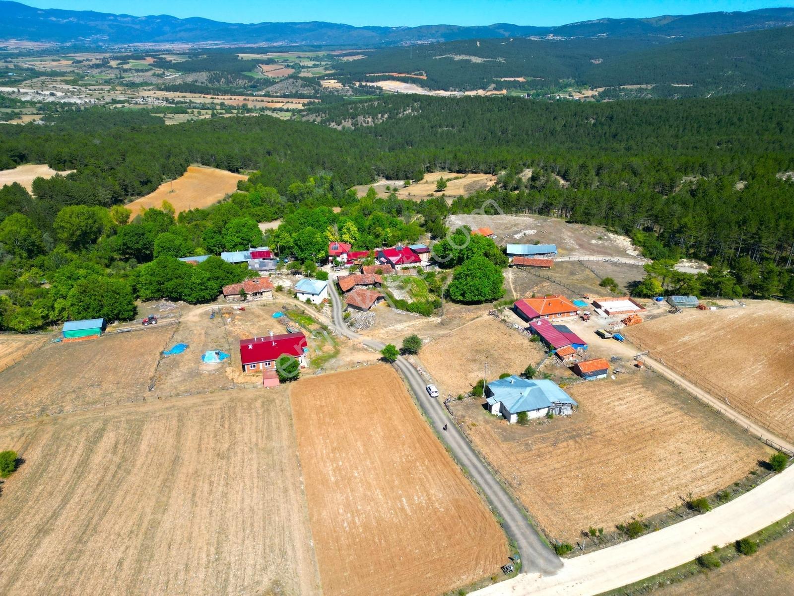 Çift Cepheli, İmar & Müstakil Evli, 2.129 M² Doğa İçinde Fırsat — fotoğraf 13