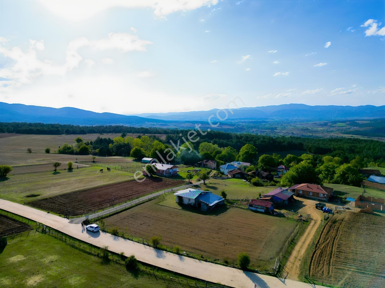 Çift Cepheli, İmar & Müstakil Evli, 2.129 M² Doğa İçinde Fırsat — fotoğraf 14