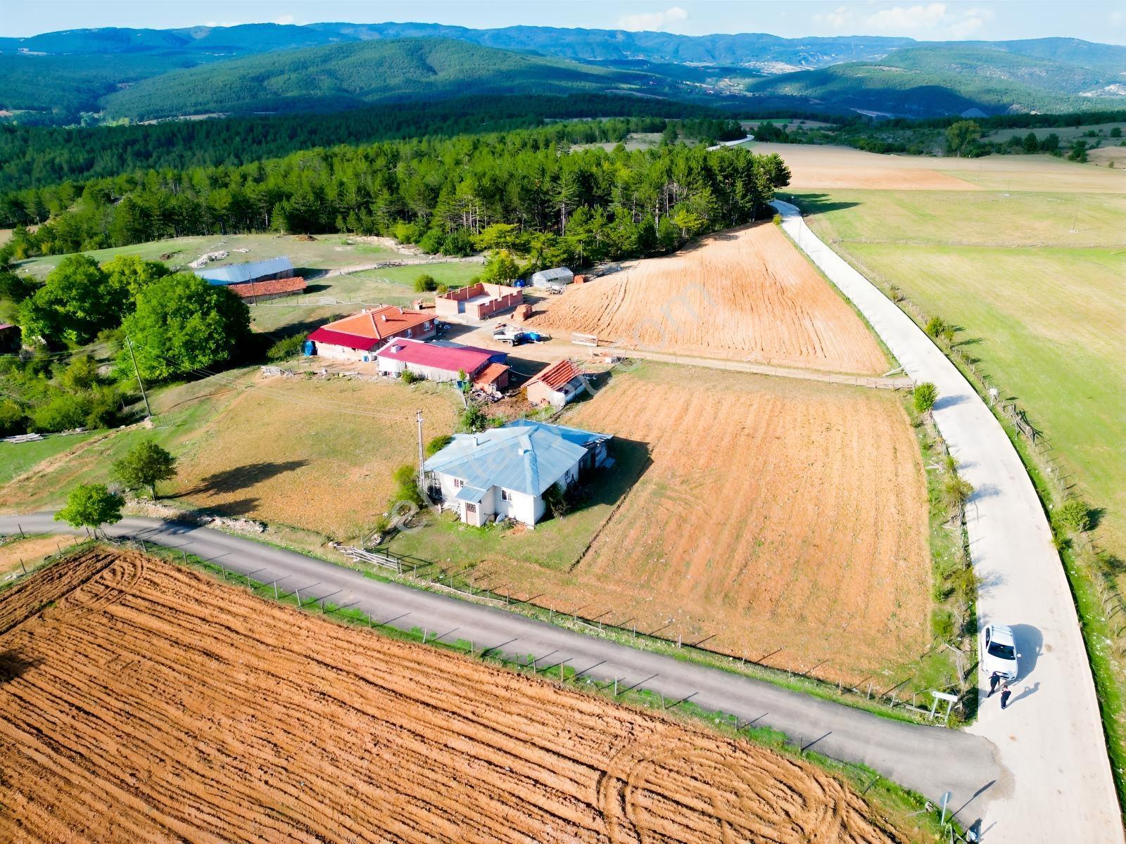 Çift Cepheli, İmar & Müstakil Evli, 2.129 M² Doğa İçinde Fırsat — fotoğraf 15