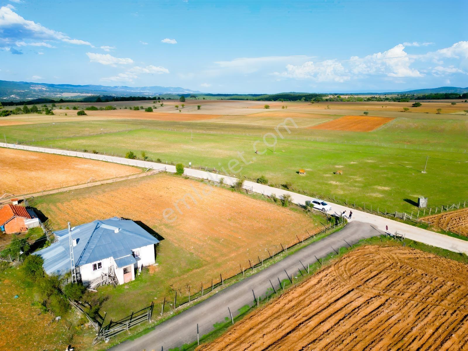 Çift Cepheli, İmar & Müstakil Evli, 2.129 M² Doğa İçinde Fırsat — fotoğraf 16