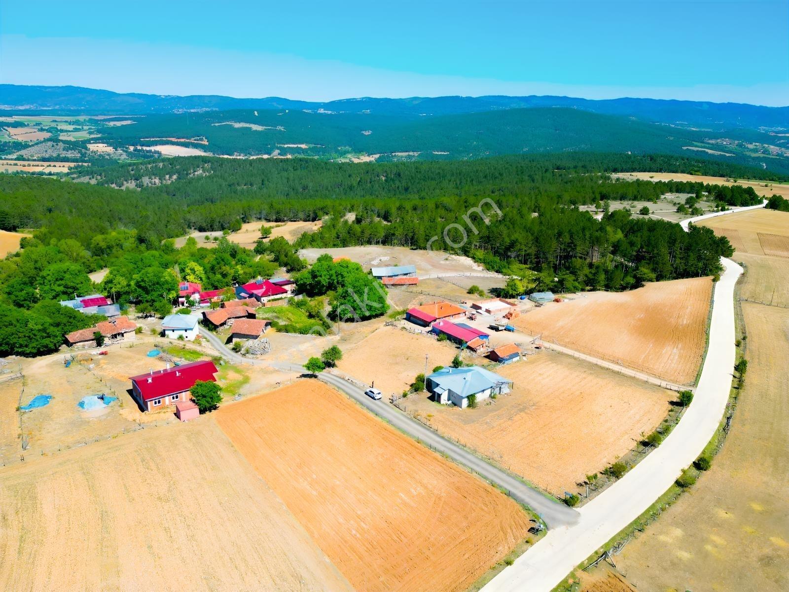 Çift Cepheli, İmar & Müstakil Evli, 2.129 M² Doğa İçinde Fırsat — fotoğraf 17