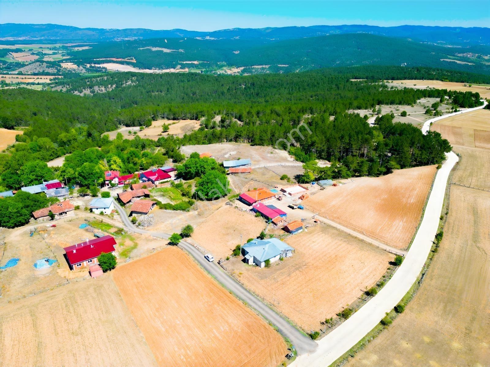 Çift Cepheli, İmar & Müstakil Evli, 2.129 M² Doğa İçinde Fırsat — fotoğraf 18