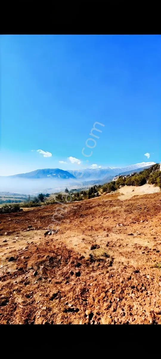 Bucak’ta Manzaralı 6.196 M² Arsa | Çiftlik & Turizm Projelerine Uygun — fotoğraf 2