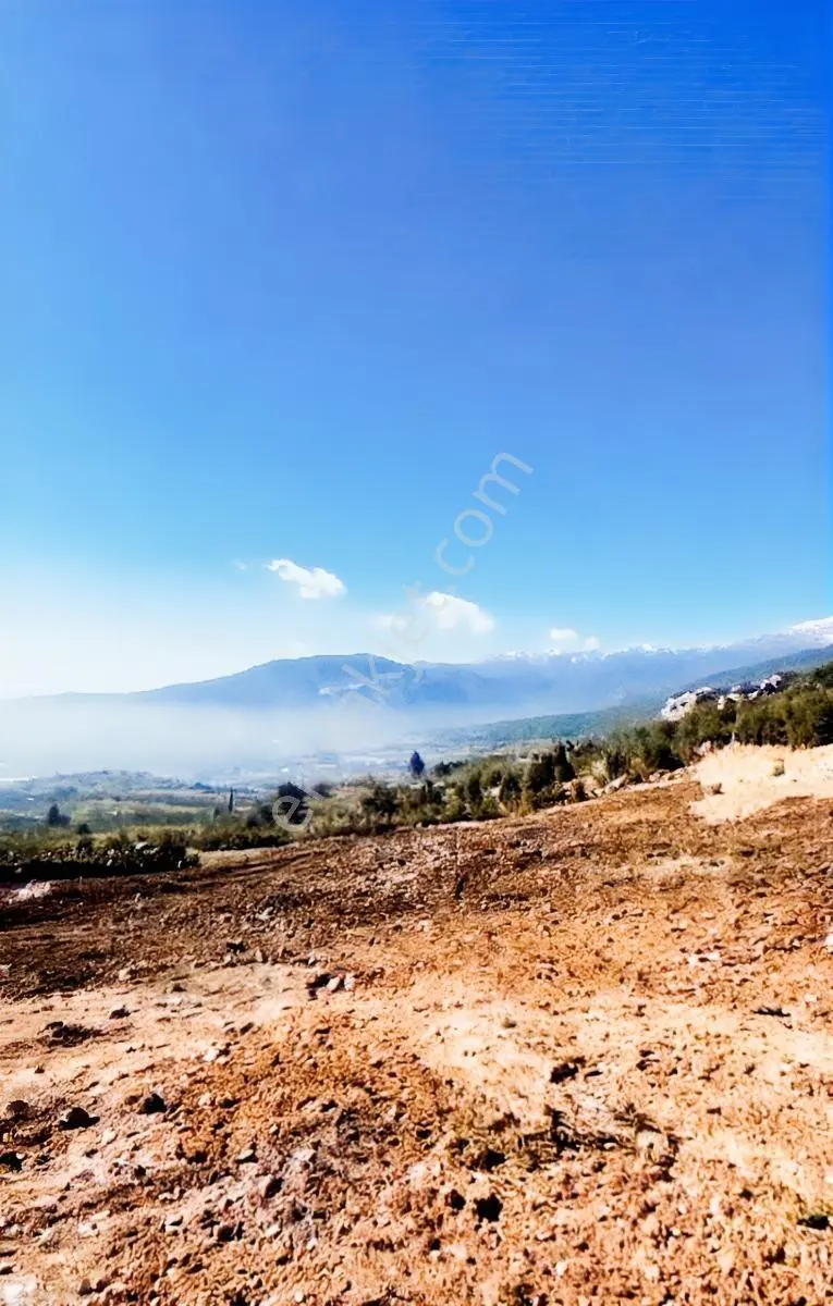 Bucak’ta Manzaralı 6.196 M² Arsa | Çiftlik & Turizm Projelerine Uygun — fotoğraf 3