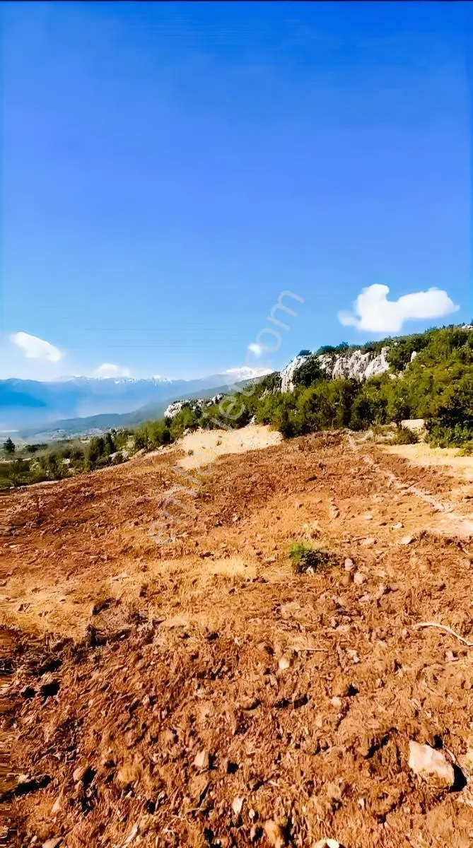 Bucak’ta Manzaralı 6.196 M² Arsa | Çiftlik & Turizm Projelerine Uygun — fotoğraf 5