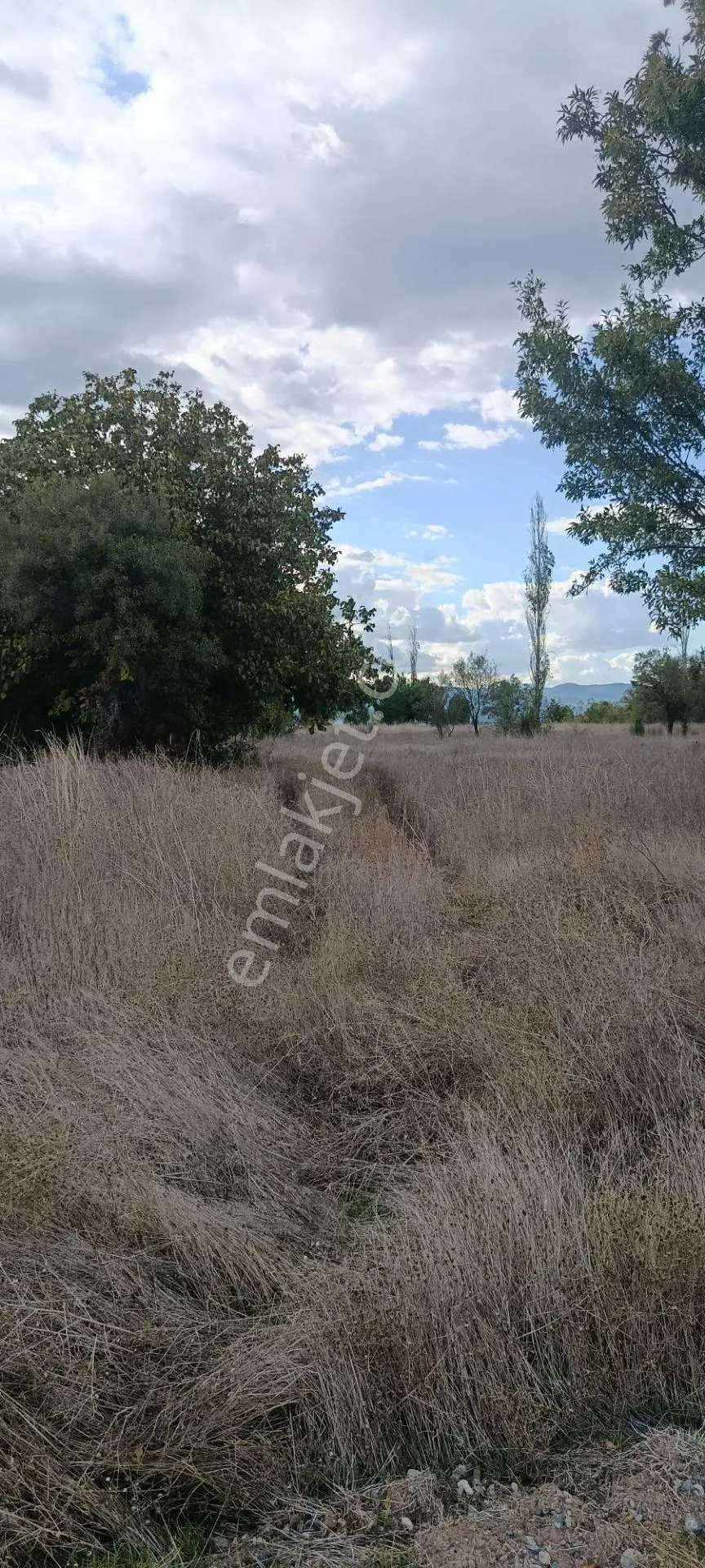 Acıpayam Dedebağı Satılık Tarla