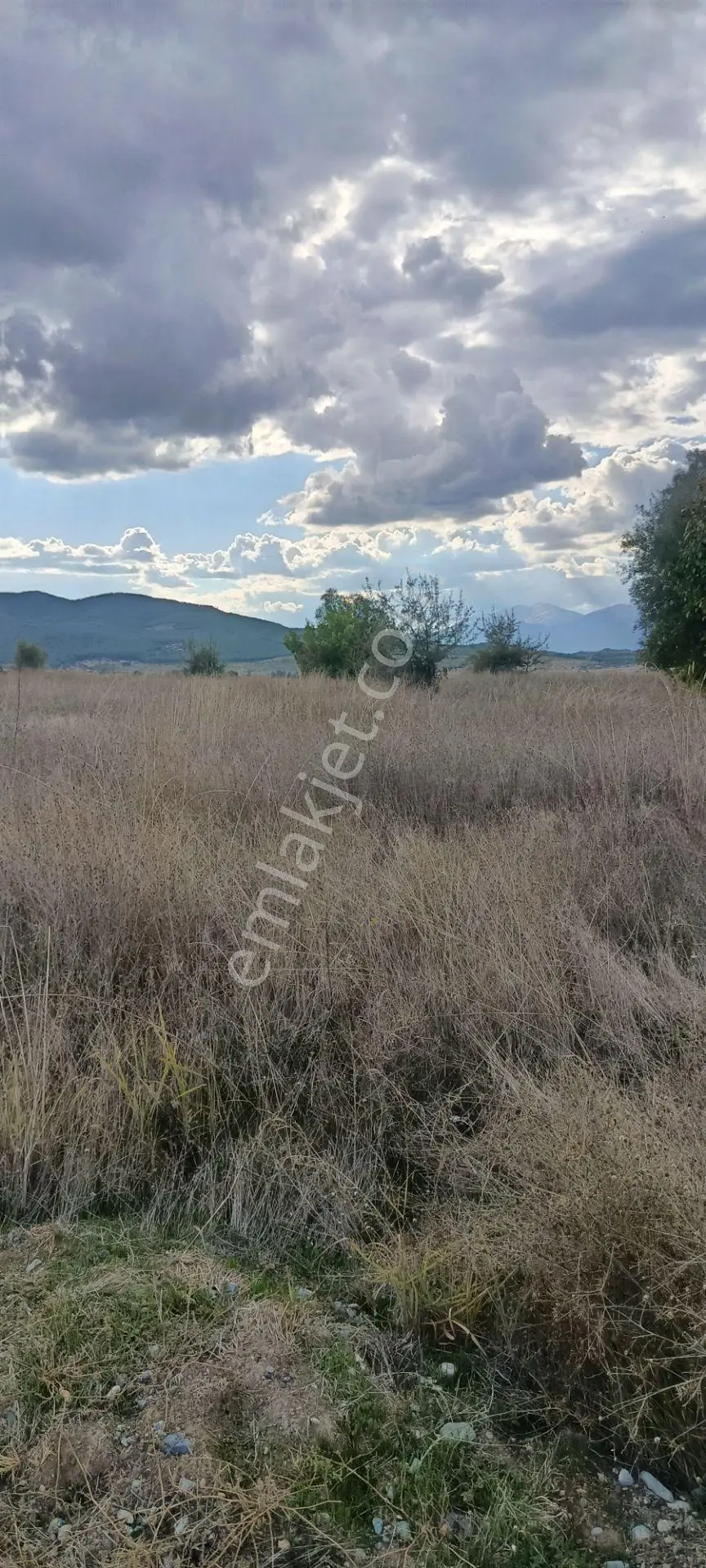 Acıpayam Dedebağı Satılık Tarla — fotoğraf 2