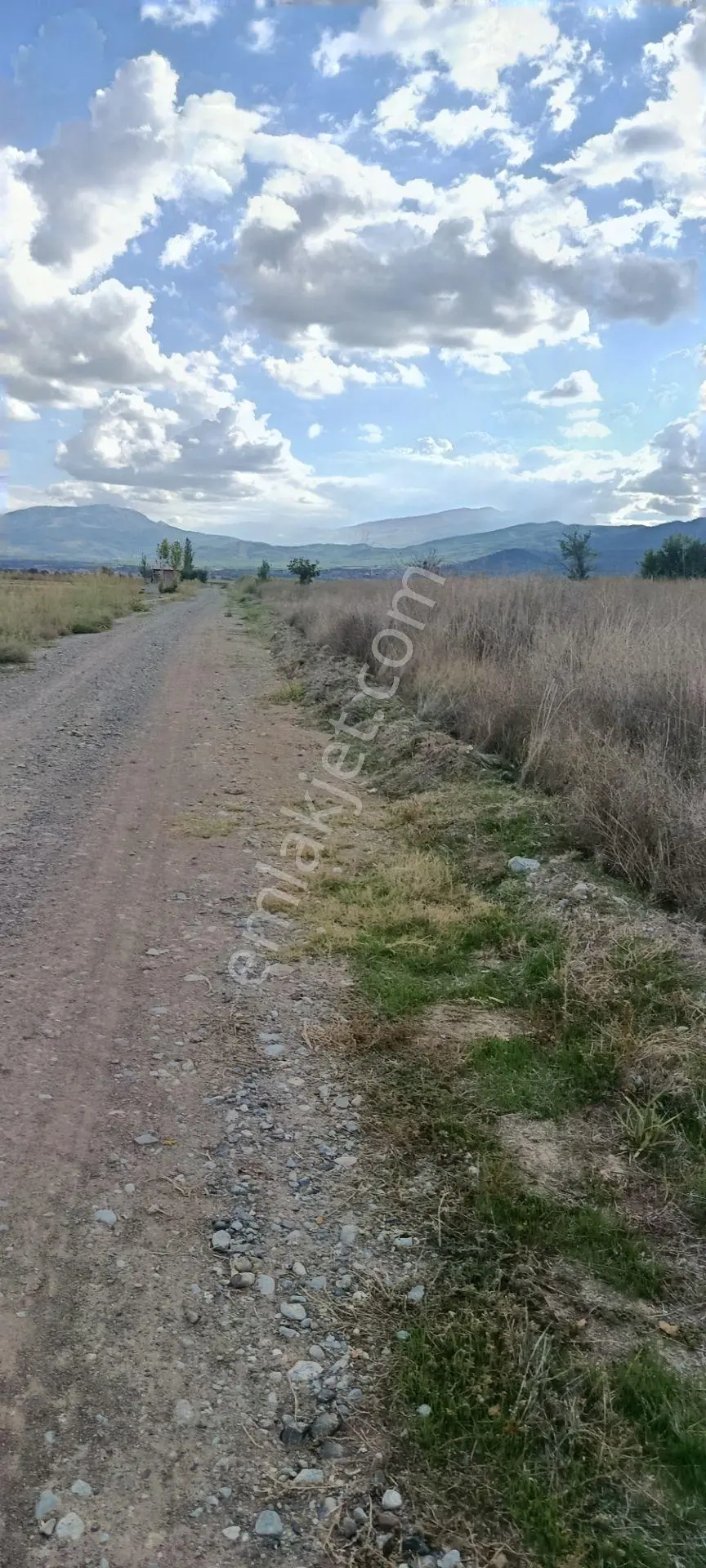 Acıpayam Dedebağı Satılık Tarla — fotoğraf 4