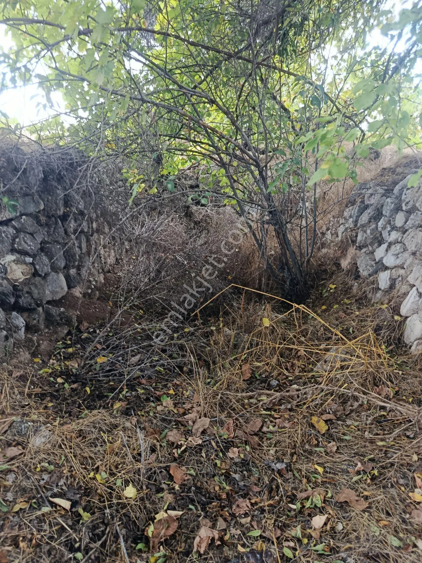 Acıpayam Dedebağı Satılık Tarla — fotoğraf 9