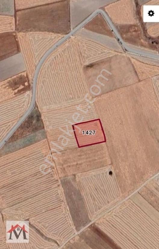 Kemer Pınarbaşında Köye 600m Mesafede 3300m² Tarla