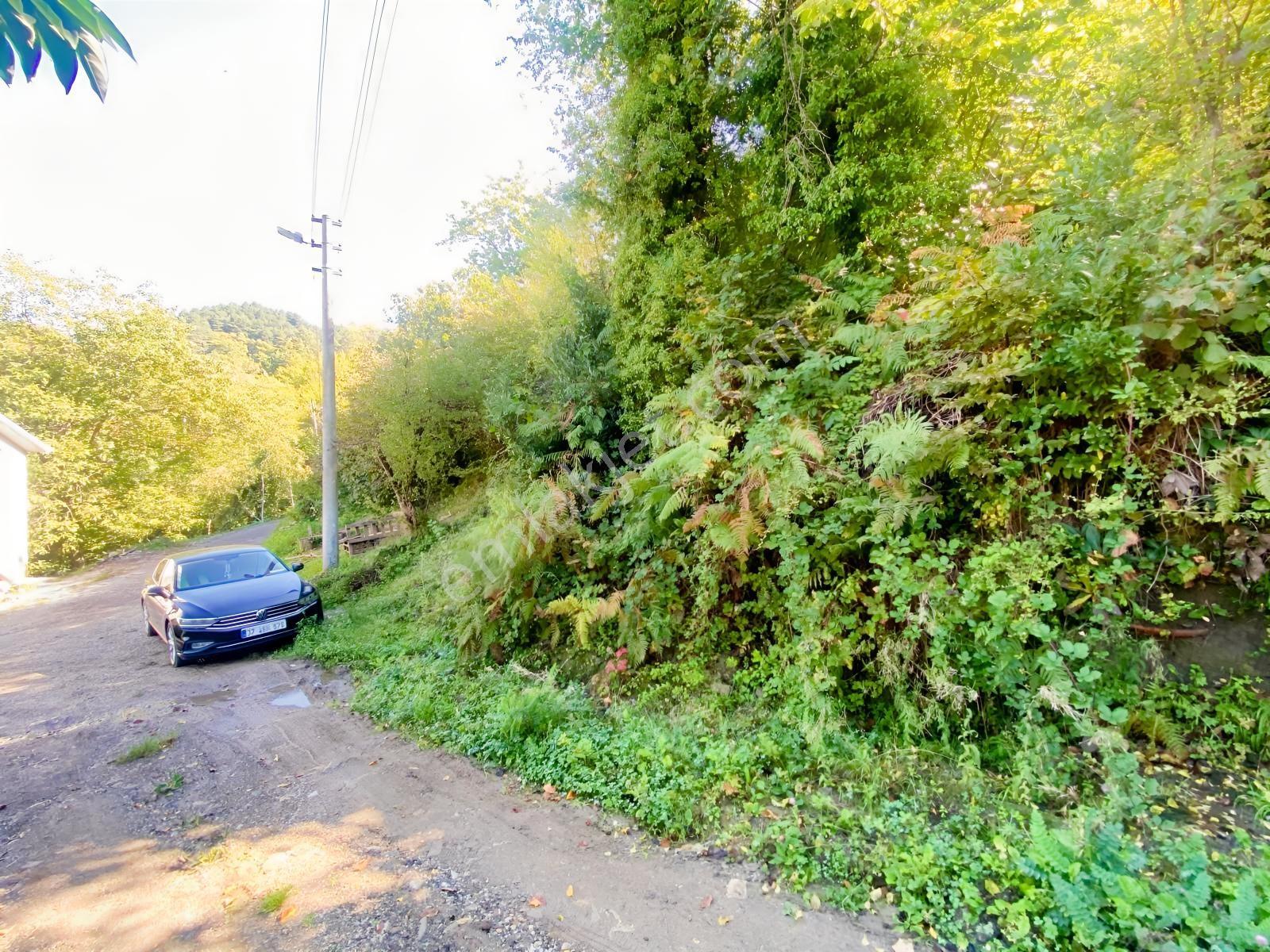 1.781.m2 Bahçe Ve 500.m2 Tarla Müstakil Tapu Bitişik Parsel — fotoğraf 9