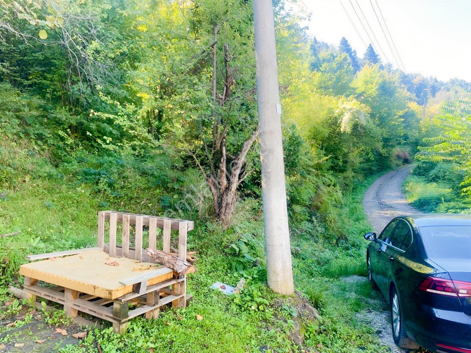 1.781.m2 Bahçe Ve 500.m2 Tarla Müstakil Tapu Bitişik Parsel — fotoğraf 13