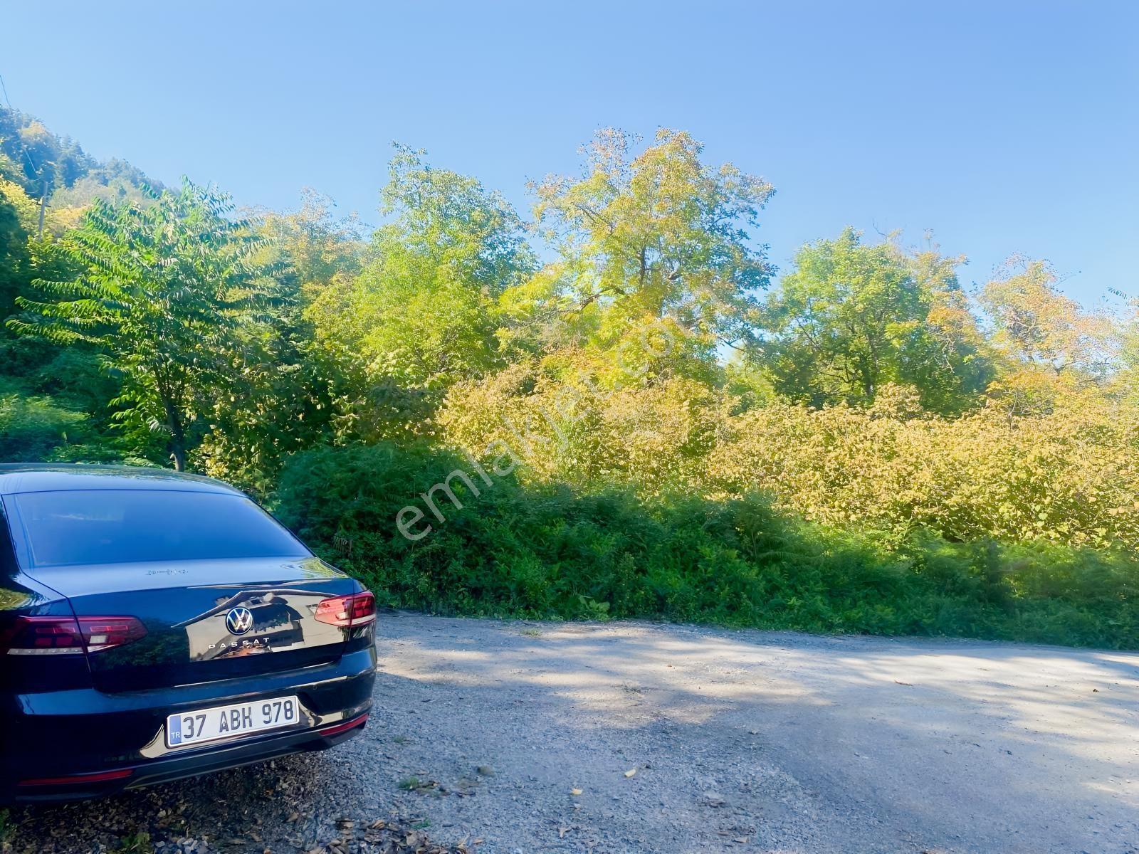 1.781.m2 Bahçe Ve 500.m2 Tarla Müstakil Tapu Bitişik Parsel — fotoğraf 15