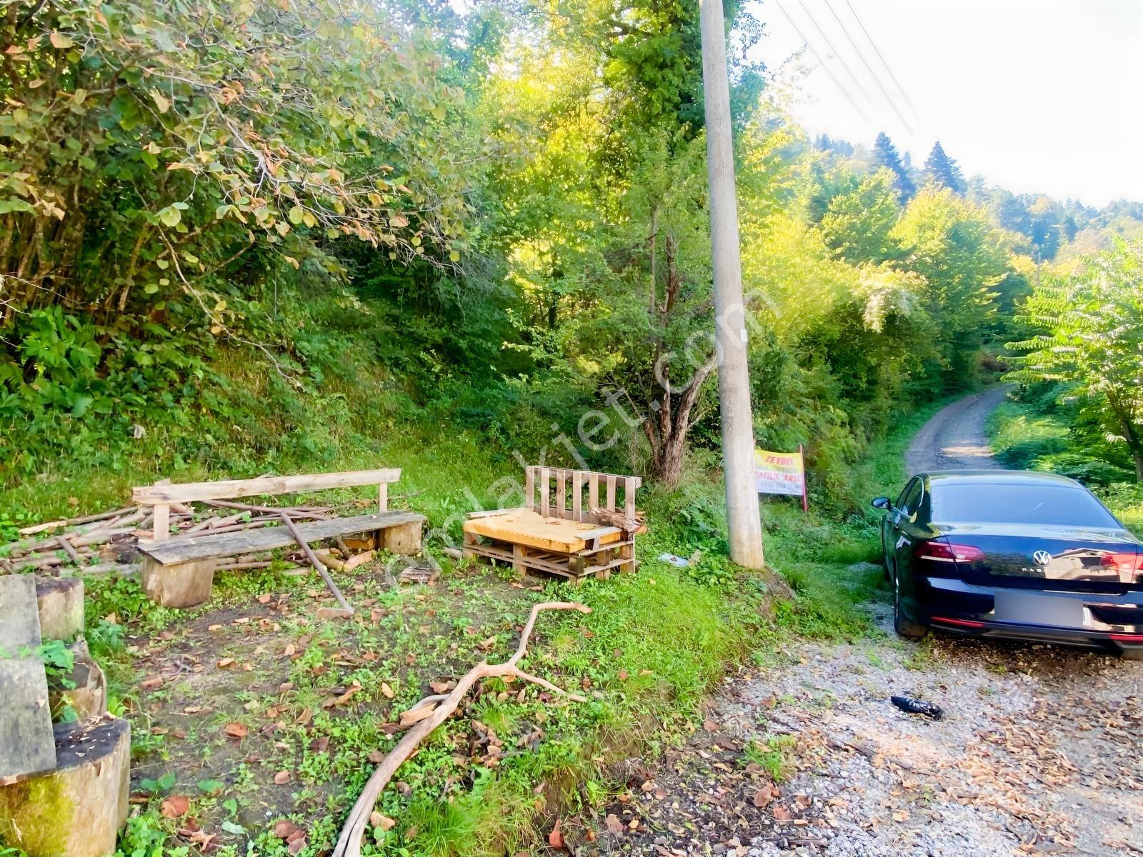 1.781.m2 Bahçe Ve 500.m2 Tarla Müstakil Tapu Bitişik Parsel — fotoğraf 17