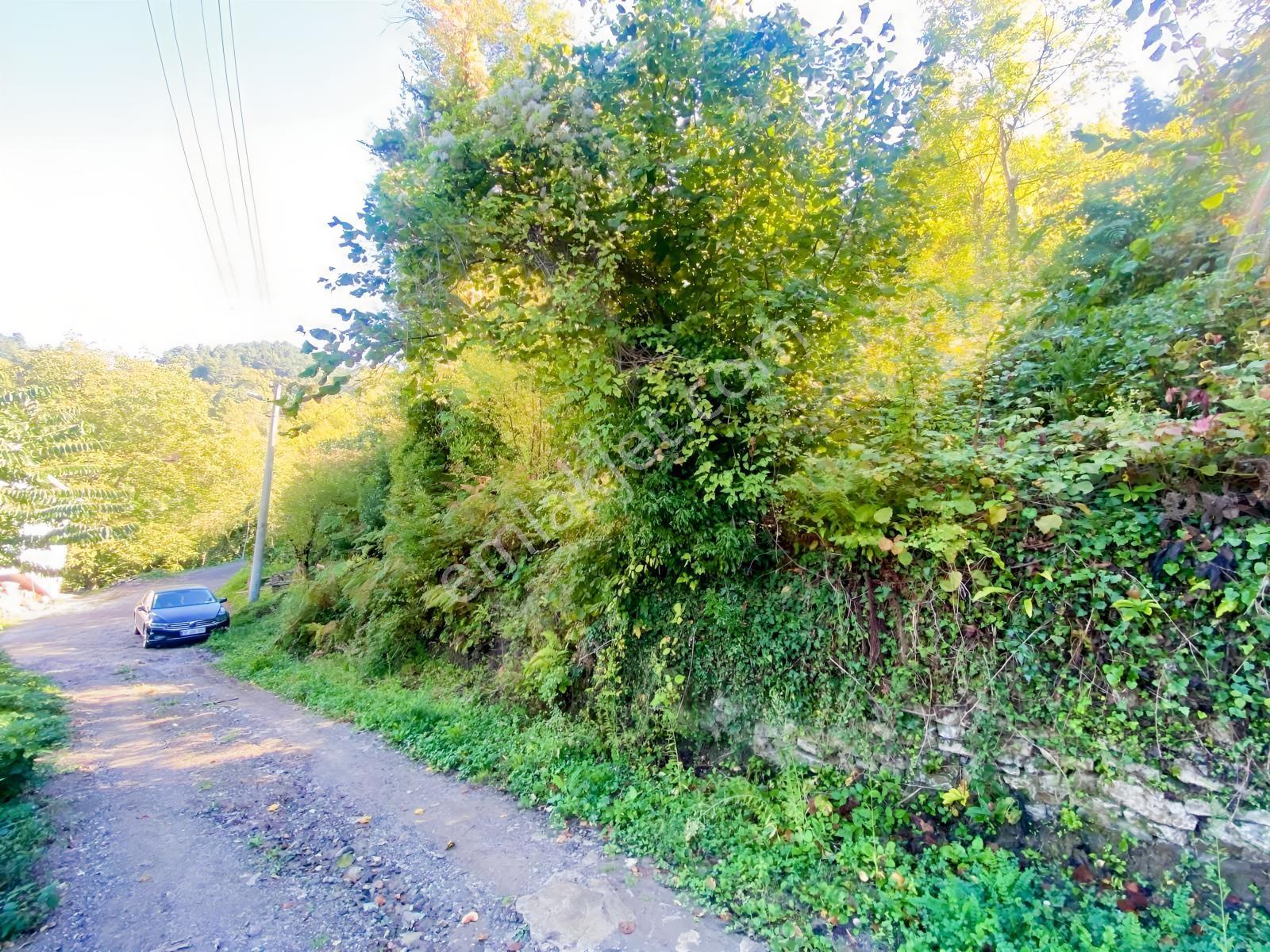 1.781.m2 Bahçe Ve 500.m2 Tarla Müstakil Tapu Bitişik Parsel — fotoğraf 18