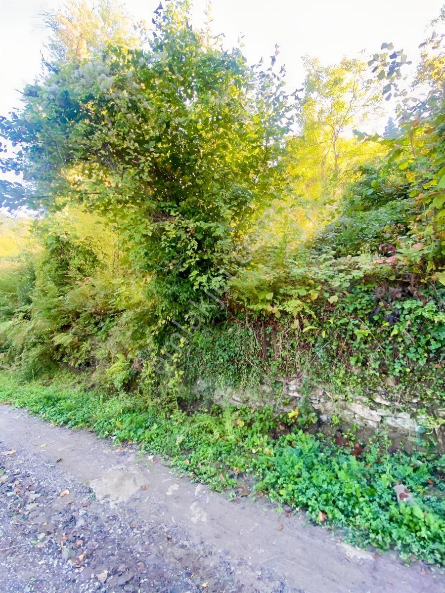 1.781.m2 Bahçe Ve 500.m2 Tarla Müstakil Tapu Bitişik Parsel — fotoğraf 23