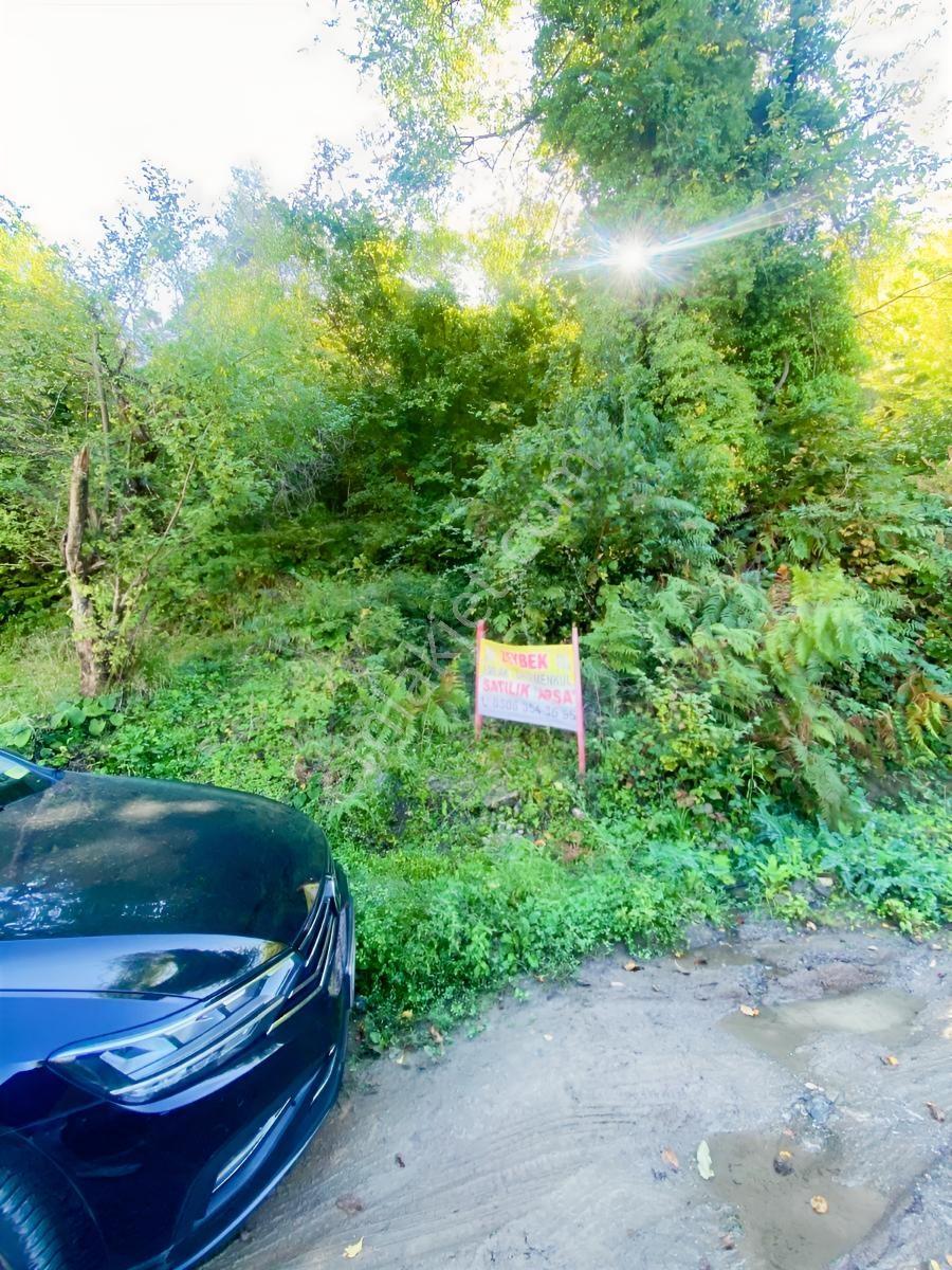 1.781.m2 Bahçe Ve 500.m2 Tarla Müstakil Tapu Bitişik Parsel — fotoğraf 27