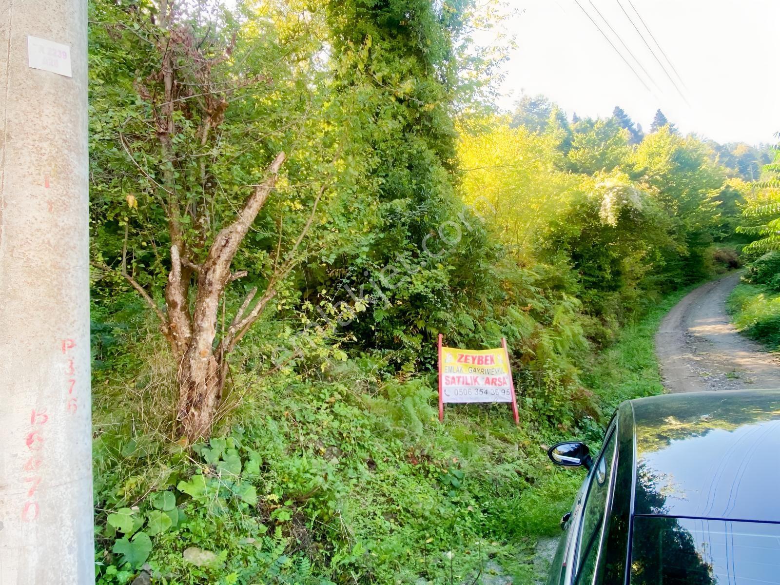 1.781.m2 Bahçe Ve 500.m2 Tarla Müstakil Tapu Bitişik Parsel — fotoğraf 28