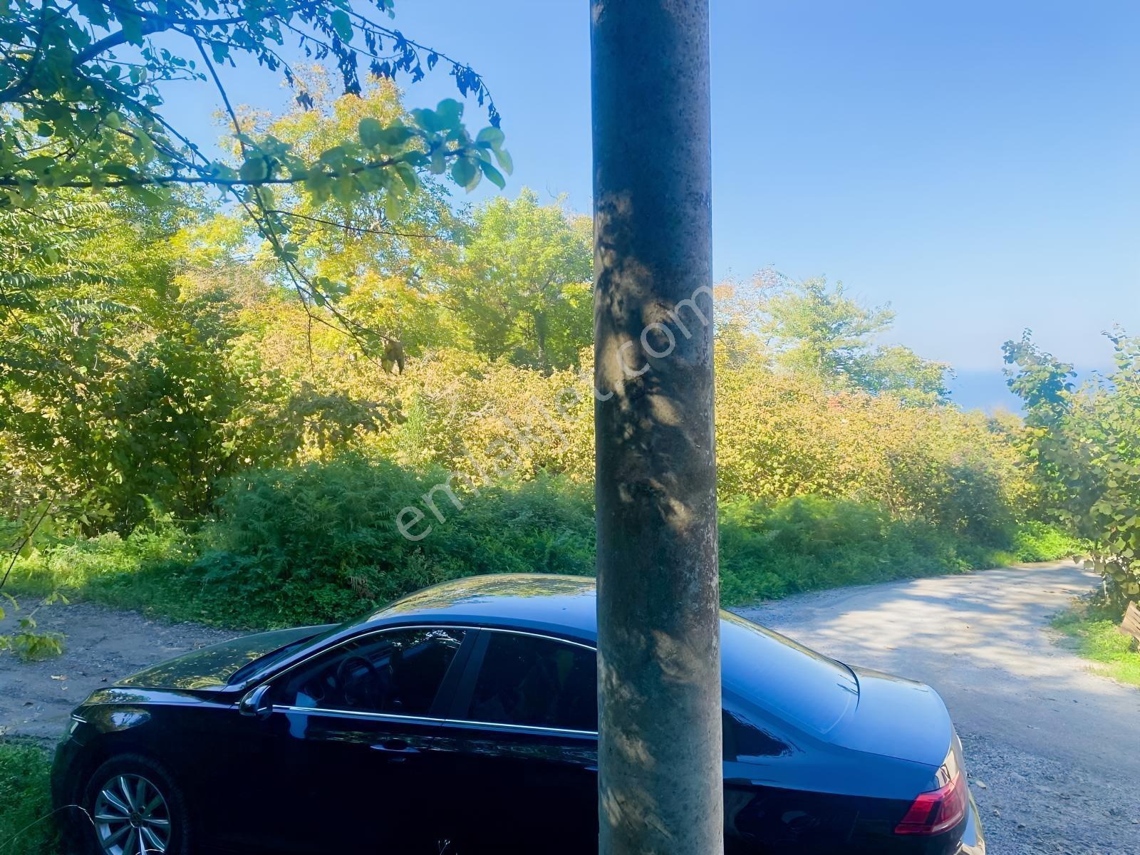 1.781.m2 Bahçe Ve 500.m2 Tarla Müstakil Tapu Bitişik Parsel — fotoğraf 32