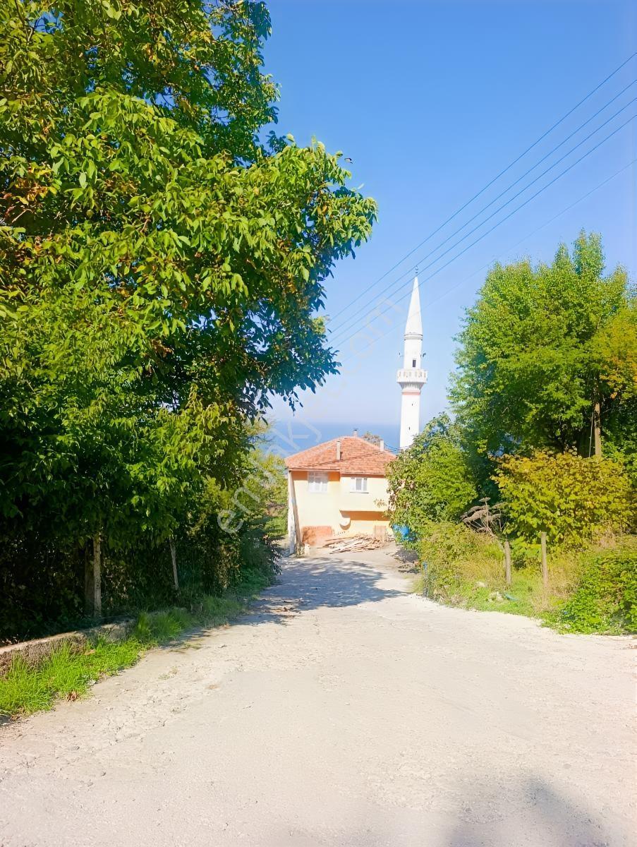 1.781.m2 Bahçe Ve 500.m2 Tarla Müstakil Tapu Bitişik Parsel — fotoğraf 35