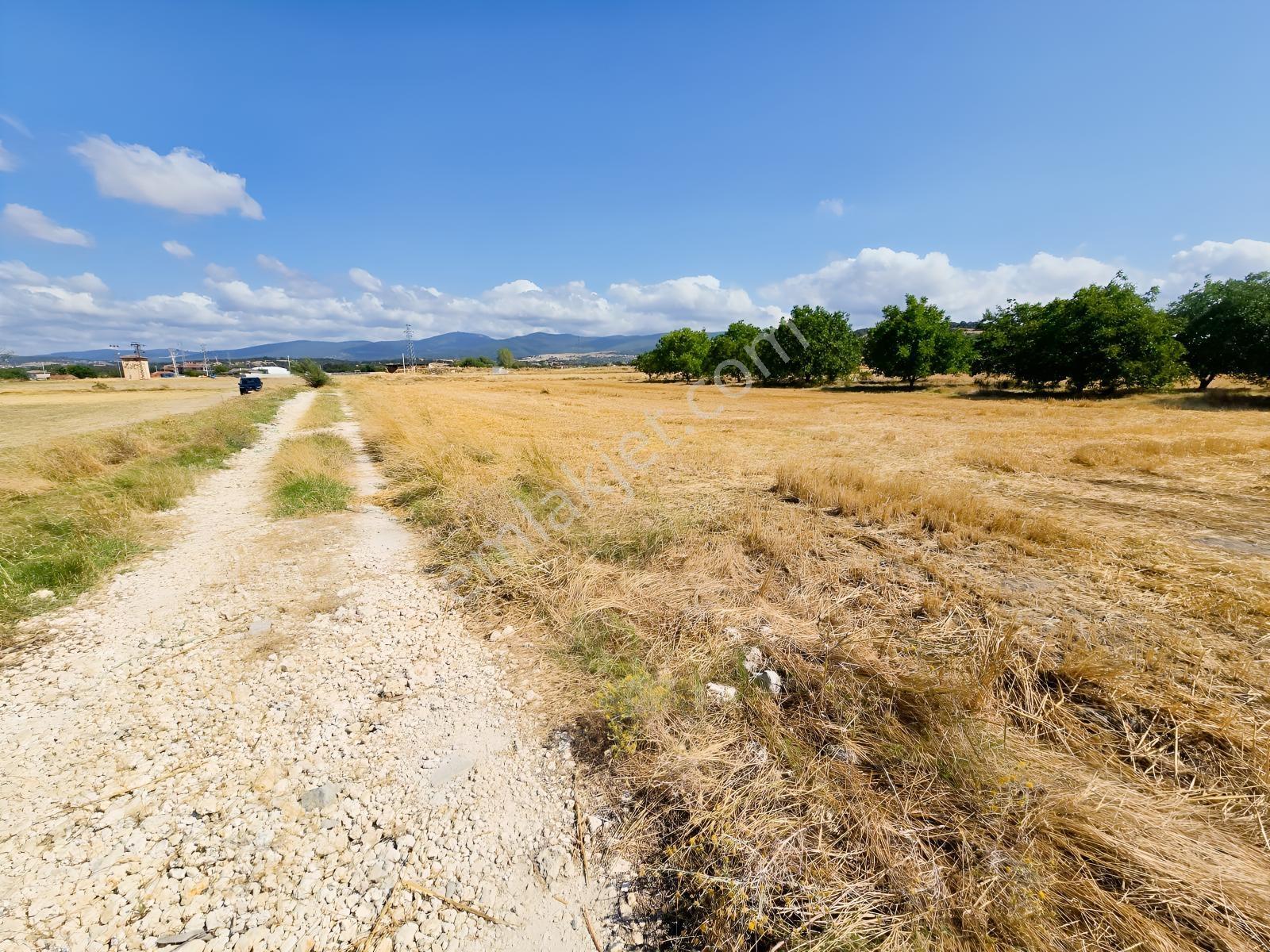 Pınarhisar İslambeyli Mevkinde Yola Cephe Satılık 3.921M2 Tarla